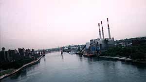 View north