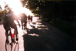 paceline 1
