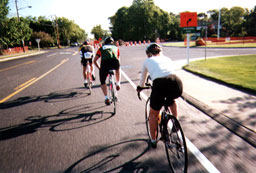 paceline 3