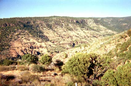 Vista